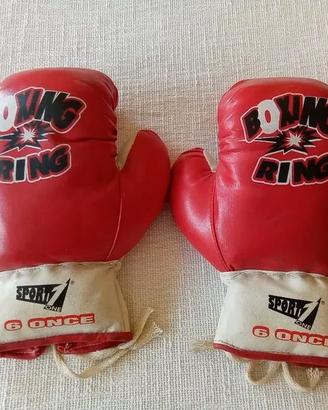 Guantoni da Boxe per ragazzi Boxing Ring 6 Once