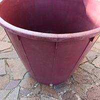 Tino/Mastella in plastica per alimmento da 500L