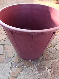 Tino/Mastella in plastica per alimmento da 500L