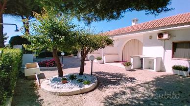 IMMERSI nel VERDE.ALLOGGI A 300m DALLA SPIAGGIA