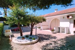 IMMERSI nel VERDE.ALLOGGI A 300m DALLA SPIAGGIA