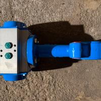 Valvola a farfalla con attuatore pneumatico