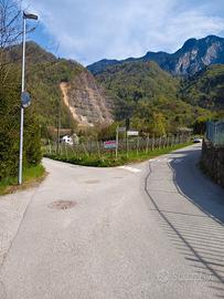 Terreno agricolo