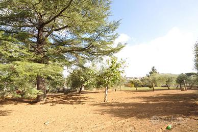 CASA INDIPENDENTE A ROMA