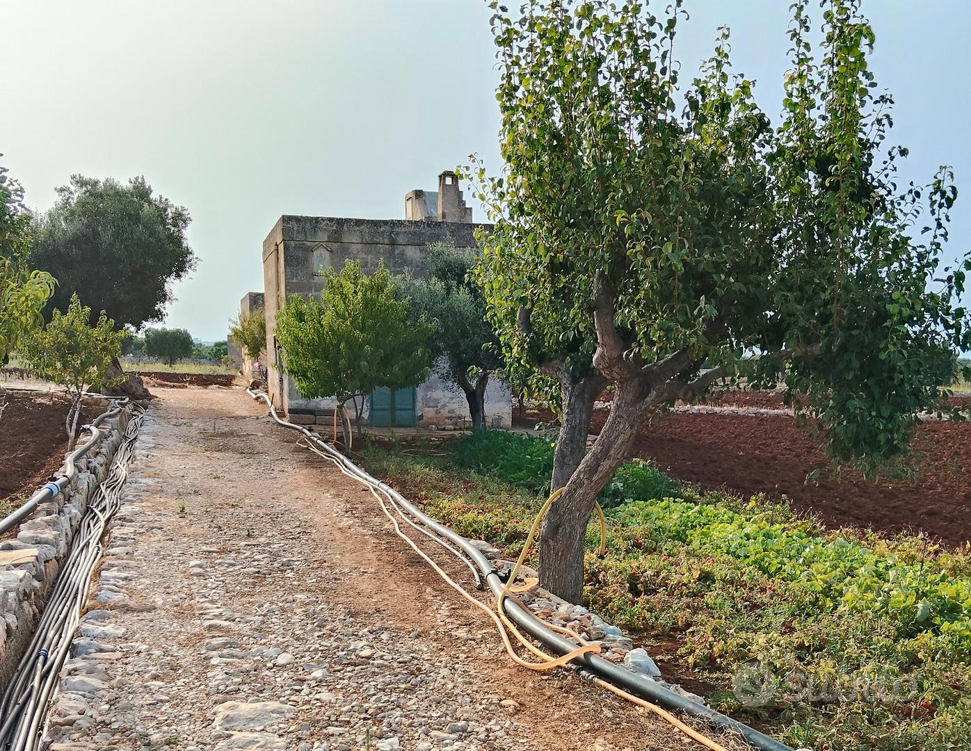 CASOLARE vista mare+TERRENO prezzo-vero-A.ffar.e - Vista 3