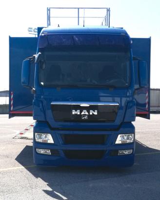 Van trasporto cavalli