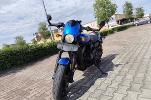 Harley Davidson street Rod 2017