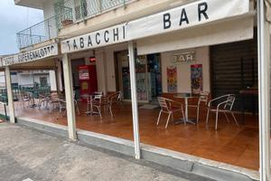 Attivita' polivalente