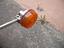 Immagine 18