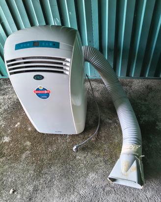  climatizzatore tipo pinguino