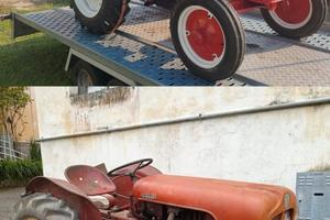Raro Trattore d'epoca Amog 25R