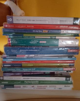 Libri scolastici