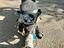 Immagine 3
