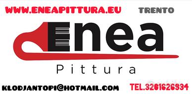 Www.eneapittura.eu