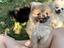 Immagine 1