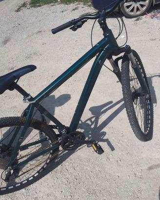 Bicicletta 29