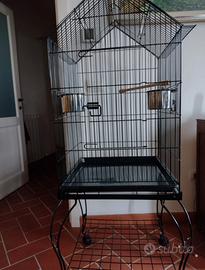 Gabbia per uccelli