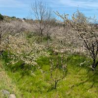 Terreno con Deposito