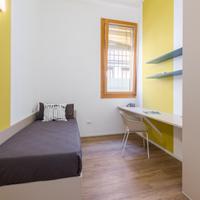 Luminosa singola in studentato [FE_ARM11-1_S2]