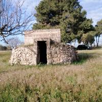 TRULLO SARACENO con ULIVETO zona industriale