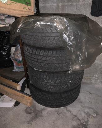 Gomme da neve