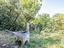 Immagine 22