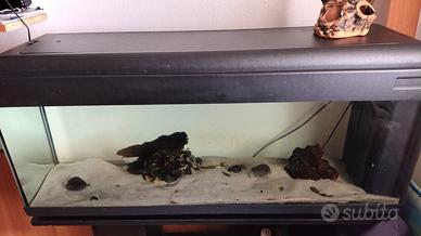 acquario 100 litri