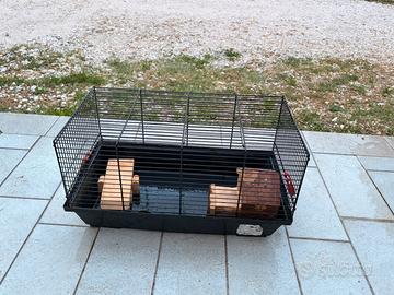 Gabbietta per criceti