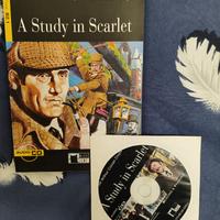 libri con audiolibri inglesi livelli B2-C1