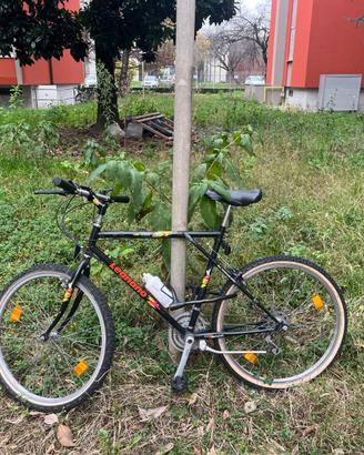 LEGNANO BICICLETTA MOUNTAIN BIKE