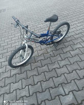 mountain bike