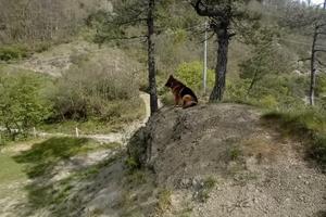 Rustico di ristrutturare di mq 40