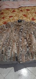 pelliccia di lince 