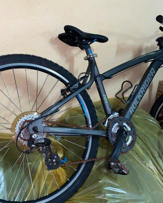 Bicicletta