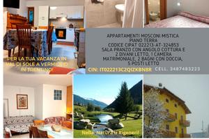 Last minut appartamento in Trentino
