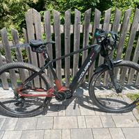 MTB elettrica LeeCougan