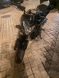 Honda Hornet