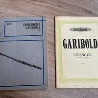 Libri per flauto traverso