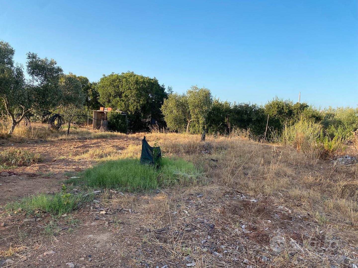 Terreno Agricolo - Vista 5