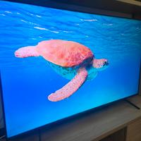 TV QLED 55 pollici 4K Smart TCL