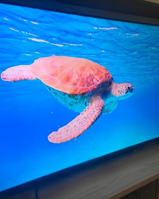 TV QLED 55 pollici 4K Smart TCL