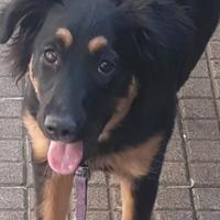 Per motivi di salute