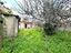 Immagine 14