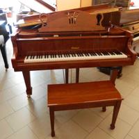 Pianoforte a coda Steinbach con Disklavier