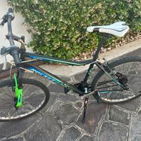 Bicicletta mountain bike