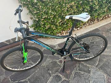 Bicicletta mountain bike