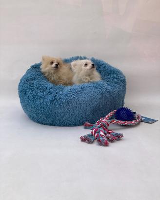Pomerania