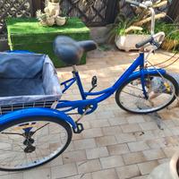 Bicicletta 3 ruote