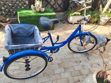 Bicicletta 3 ruote