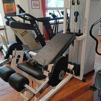 Hamstring glutei technogym